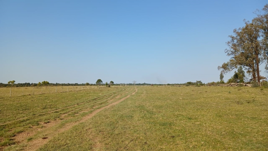 Commercial Property for Sale in Bathurst Eastern Cape